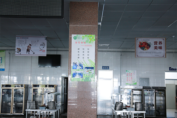 03.jpg